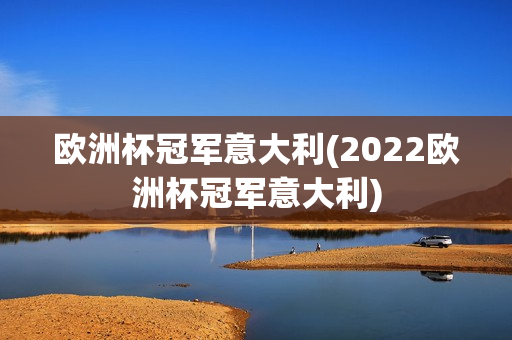 欧洲杯冠军意大利(2022欧洲杯冠军意大利)