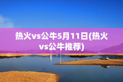 热火vs公牛5月11日(热火vs公牛推荐)