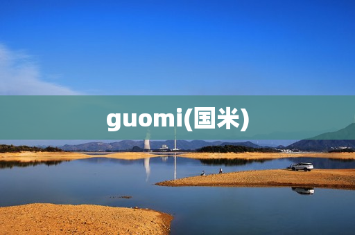 guomi(国米)