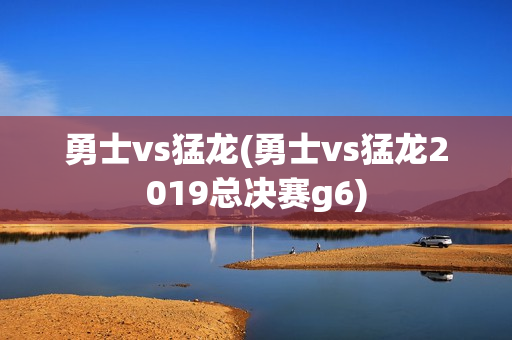 勇士vs猛龙(勇士vs猛龙2019总决赛g6)