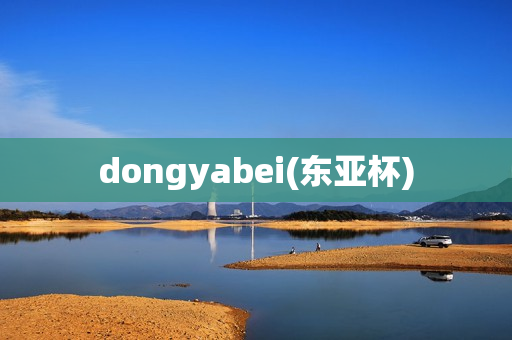 dongyabei(东亚杯)