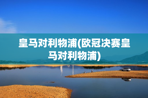 皇马对利物浦(欧冠决赛皇马对利物浦)