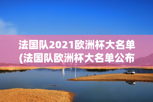 法国队2021欧洲杯大名单(法国队欧洲杯大名单公布)