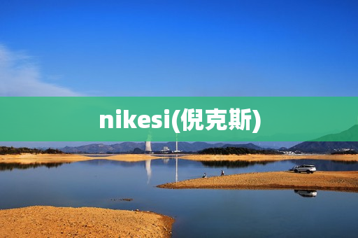 nikesi(倪克斯)