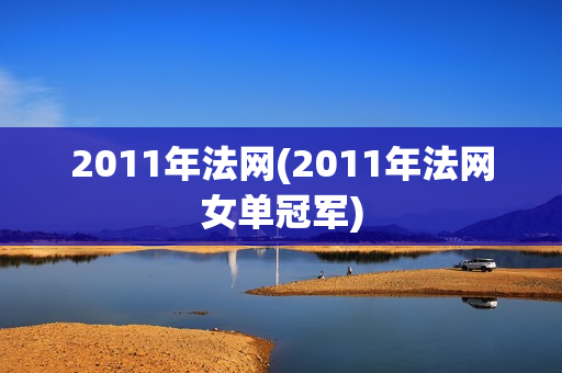 2011年法网(2011年法网女单冠军)