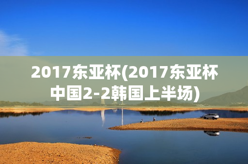 2017东亚杯(2017东亚杯中国2-2韩国上半场)