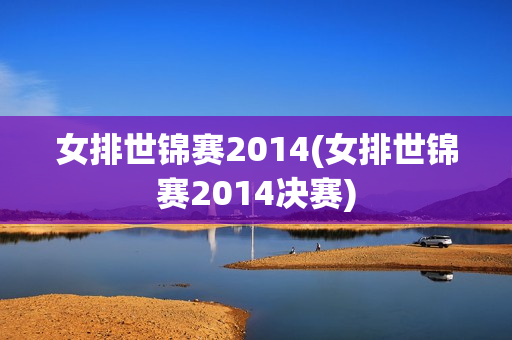 女排世锦赛2014(女排世锦赛2014决赛)