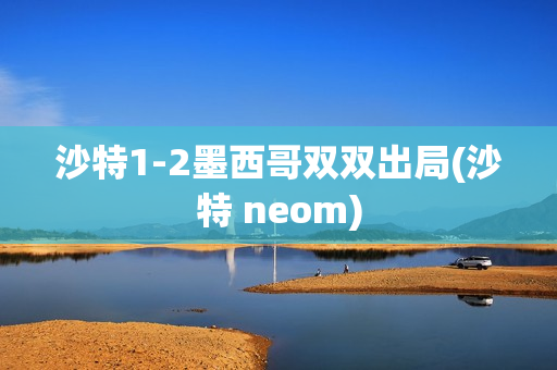 沙特1-2墨西哥双双出局(沙特 neom)