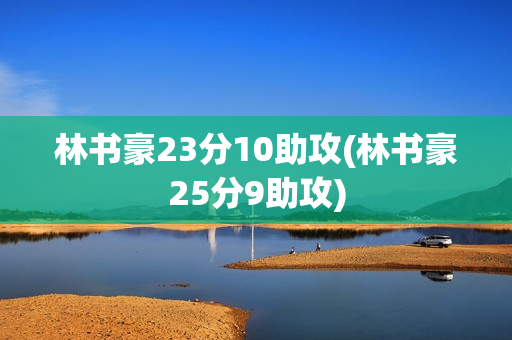 林书豪23分10助攻(林书豪25分9助攻)