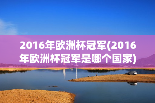 2016年欧洲杯冠军(2016年欧洲杯冠军是哪个国家)