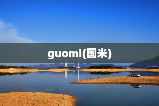 guomi(国米)