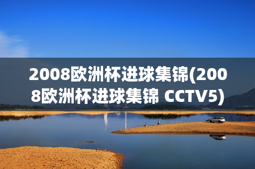 2008欧洲杯进球集锦(2008欧洲杯进球集锦 CCTV5)