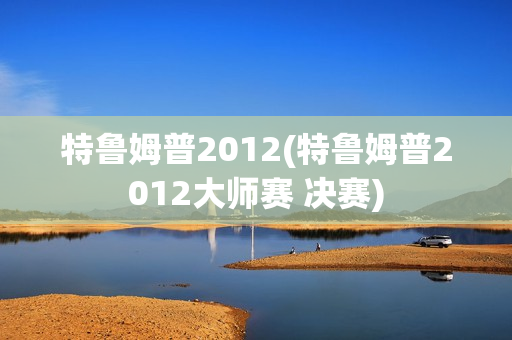 特鲁姆普2012(特鲁姆普2012大师赛 决赛)