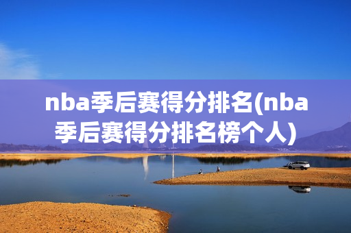 nba季后赛得分排名(nba季后赛得分排名榜个人)