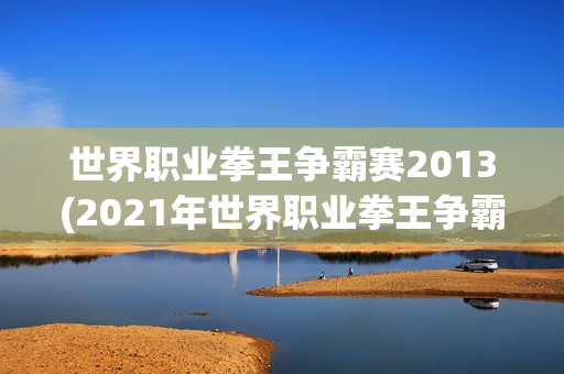 世界职业拳王争霸赛2013(2021年世界职业拳王争霸赛-27)