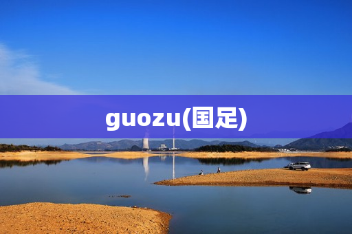 guozu(国足)