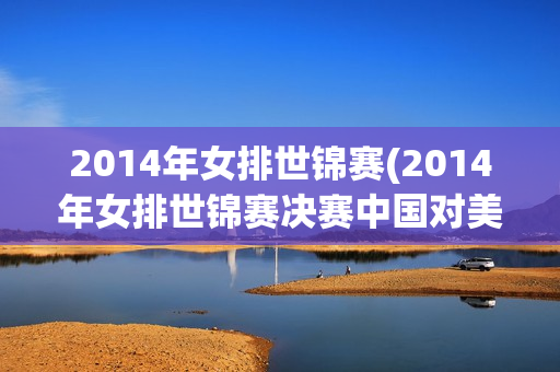 2014年女排世锦赛(2014年女排世锦赛决赛中国对美国)