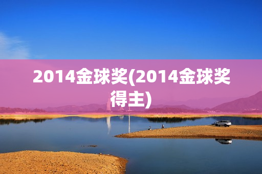 2014金球奖(2014金球奖得主)