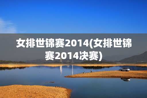 女排世锦赛2014(女排世锦赛2014决赛)