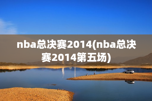 nba总决赛2014(nba总决赛2014第五场)