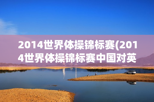 2014世界体操锦标赛(2014世界体操锦标赛中国对英国)