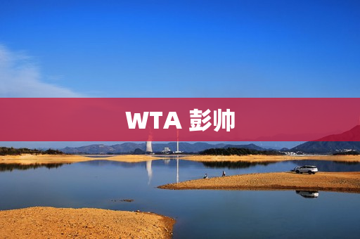 WTA 彭帅