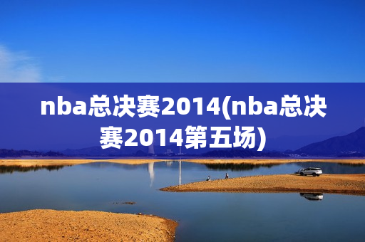 nba总决赛2014(nba总决赛2014第五场)