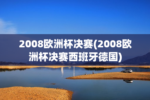 2008欧洲杯决赛(2008欧洲杯决赛西班牙德国)