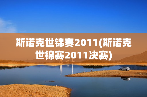 斯诺克世锦赛2011(斯诺克世锦赛2011决赛)