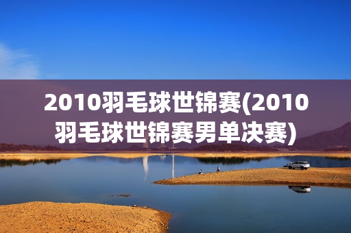 2010羽毛球世锦赛(2010羽毛球世锦赛男单决赛)