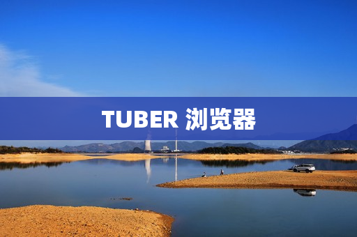 TUBER 浏览器