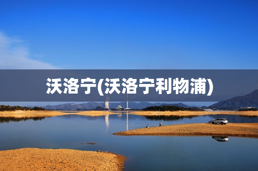 沃洛宁(沃洛宁利物浦)