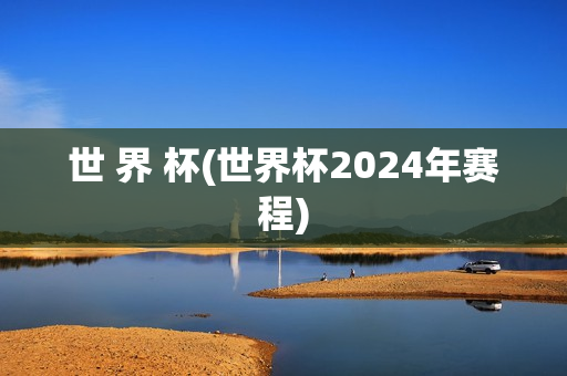 世 界 杯(世界杯2024年赛程)