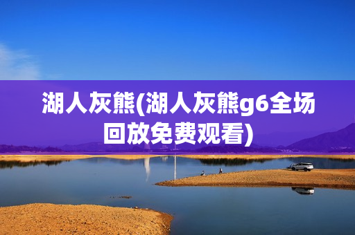 湖人灰熊(湖人灰熊g6全场回放免费观看)