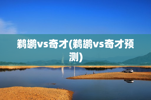 鹈鹕vs奇才(鹈鹕vs奇才预测)