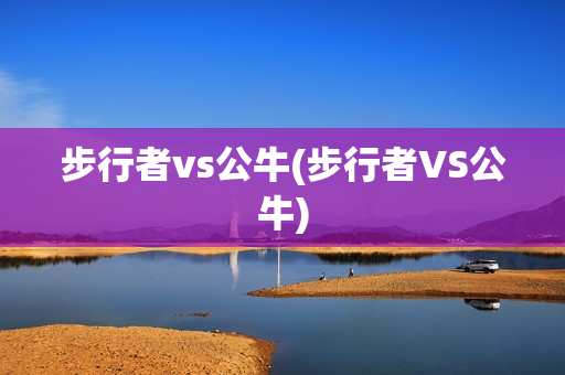 步行者vs公牛(步行者VS公牛)