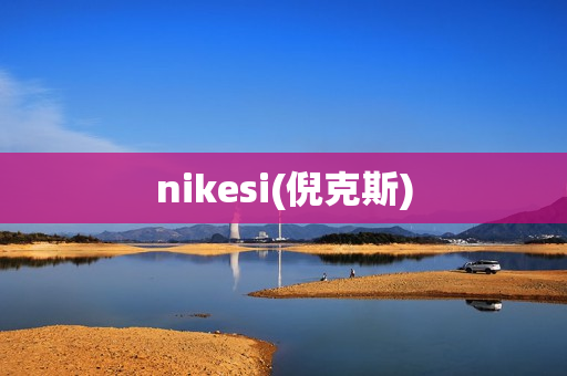 nikesi(倪克斯)