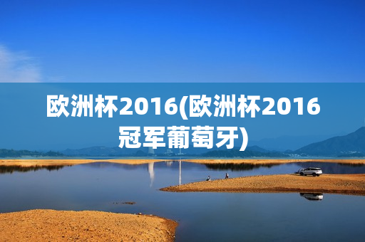 欧洲杯2016(欧洲杯2016冠军葡萄牙)