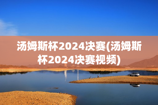 汤姆斯杯2024决赛(汤姆斯杯2024决赛视频)