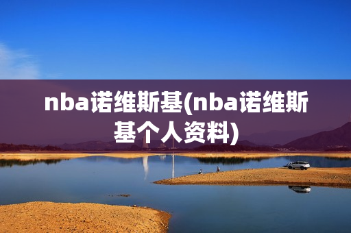 nba诺维斯基(nba诺维斯基个人资料)