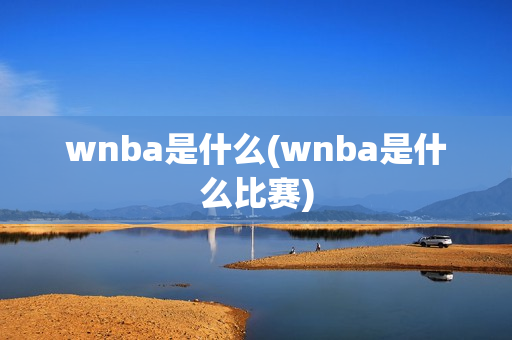 wnba是什么(wnba是什么比赛)