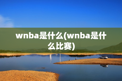 wnba是什么(wnba是什么比赛)