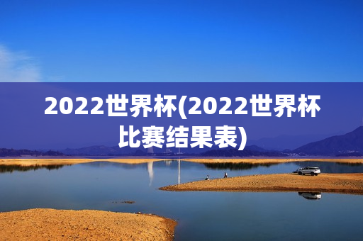 2022世界杯(2022世界杯比赛结果表)