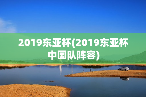 2019东亚杯(2019东亚杯中国队阵容)