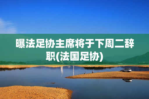 曝法足协主席将于下周二辞职(法国足协)