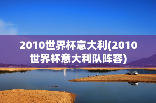 2010世界杯意大利(2010世界杯意大利队阵容)