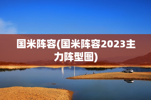 国米阵容(国米阵容2023主力阵型图)