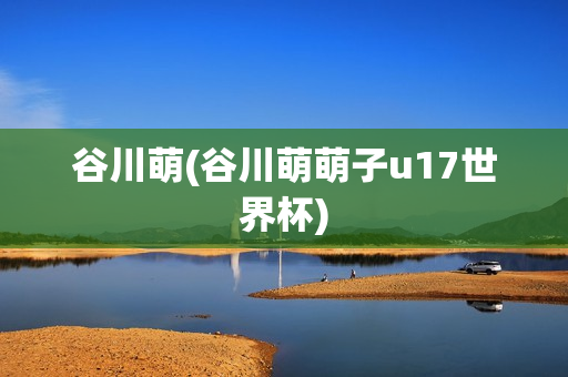 谷川萌(谷川萌萌子u17世界杯)