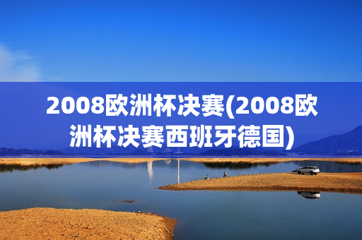 2008欧洲杯决赛(2008欧洲杯决赛西班牙德国)