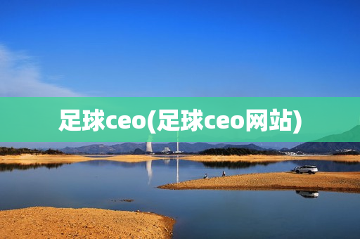 足球ceo(足球ceo网站)